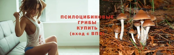 Альфа ПВП Абинск