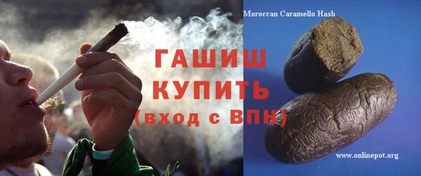 гашик Алексин