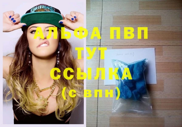 хмурый Алзамай