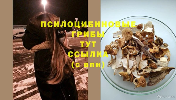 хмурый Алзамай