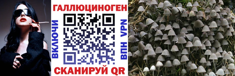 Псилоцибиновые грибы GOLDEN TEACHER  как найти   Верхоянск 